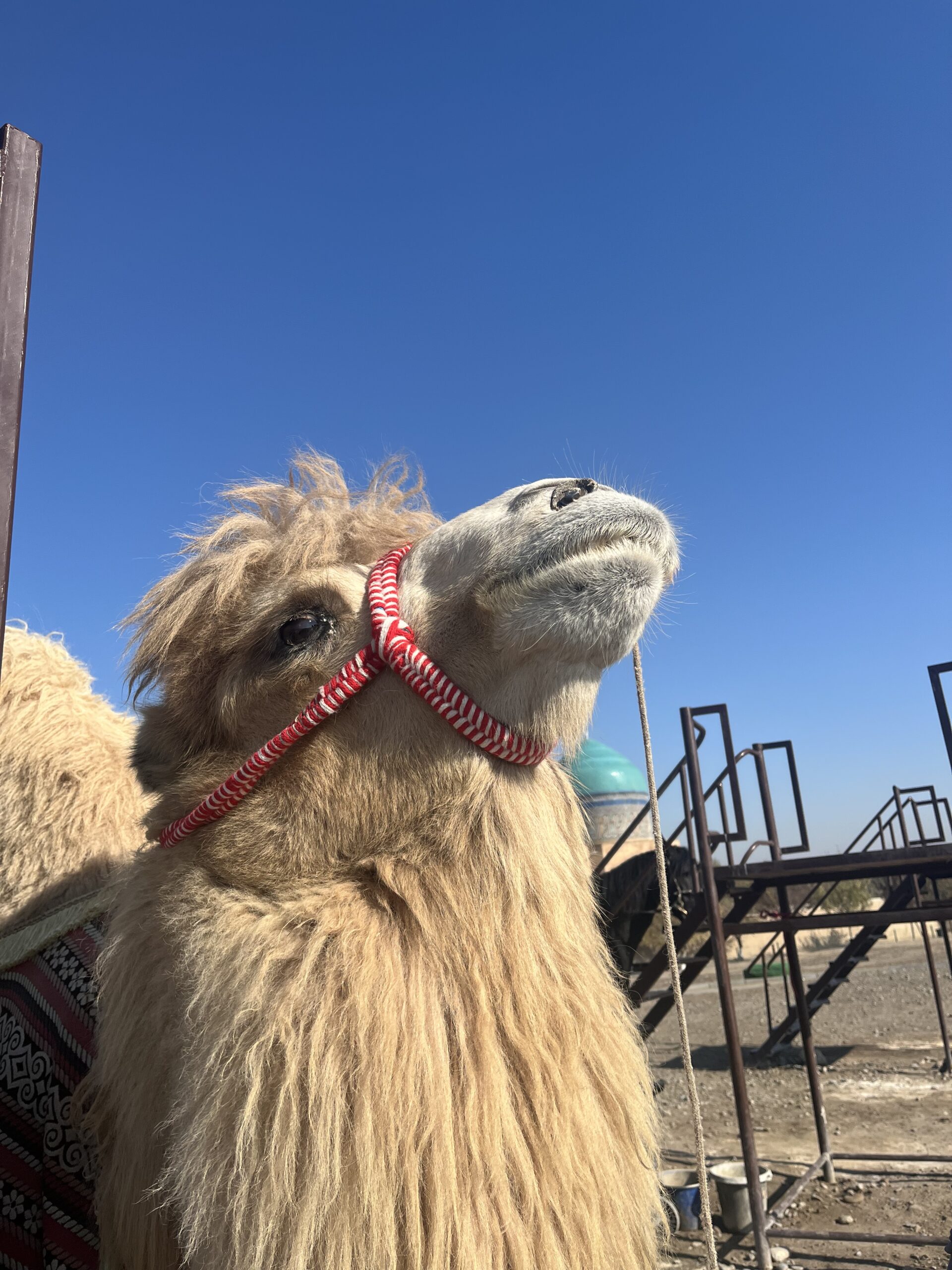 意外と知らない！？カザフスタン南部の観光地