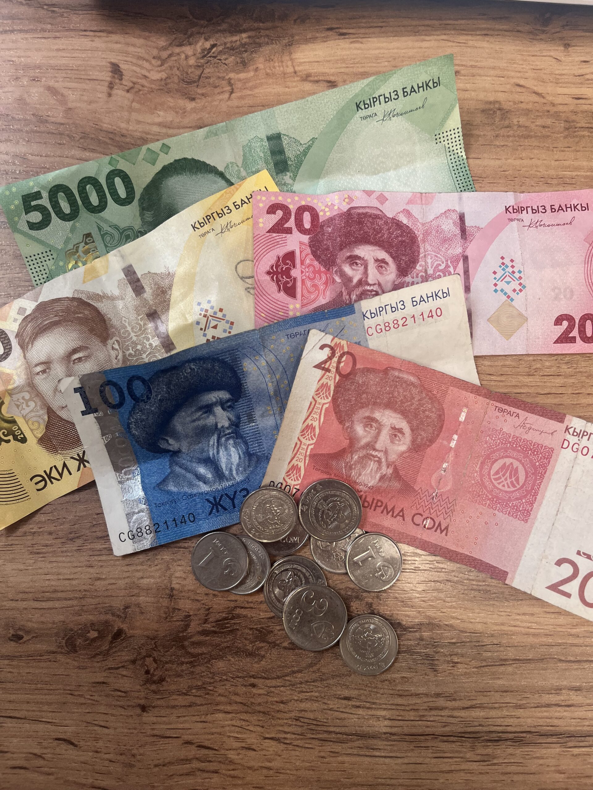 キルギスってクレカ使えるの？キルギスのお金と両替について解説！！